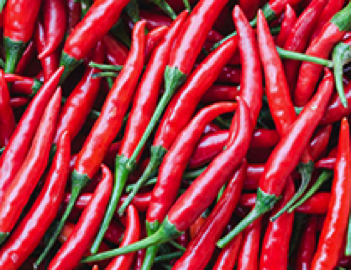 cayenne